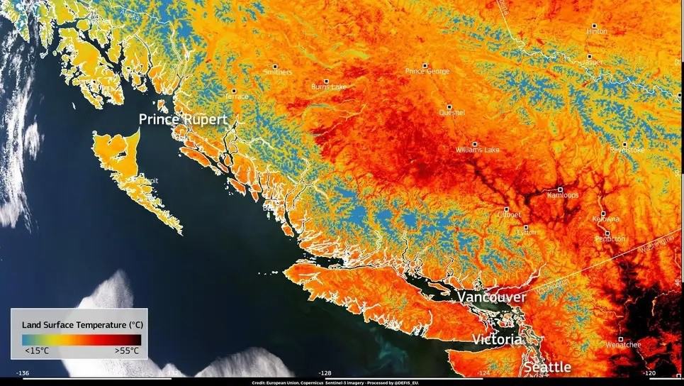 temperaturile caniculare din canada fac ravagii. peste 700 de decese într-o săptămănă