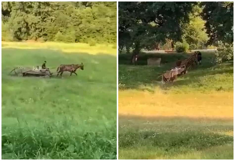 video: frumos la oraș - bărbați la plimbare cu căruța în valea aurie