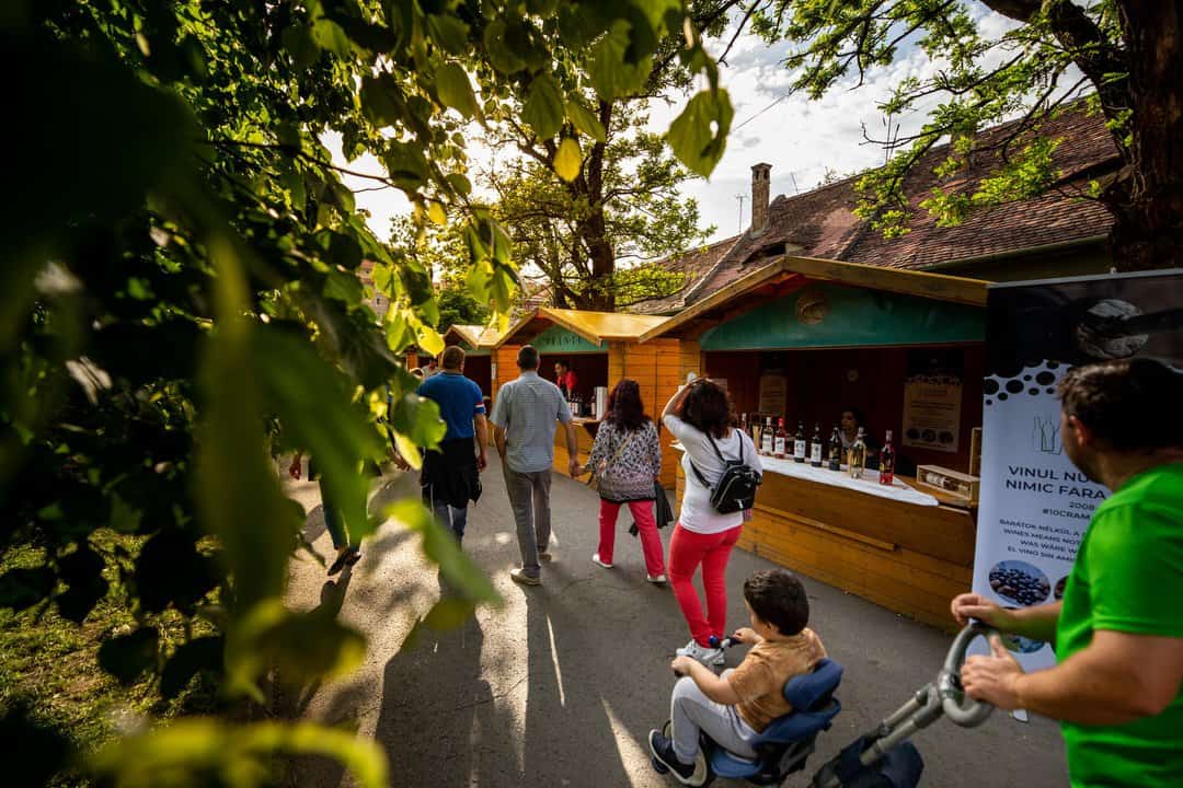 joi începe vinfest – degustăm vinuri cu ștaif și mâncăruri bune la ’’street food park’’ în parcul tineretului