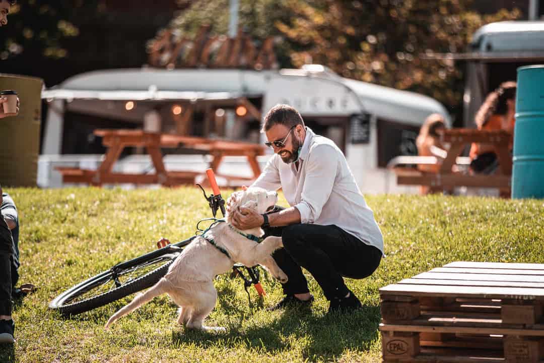 joi începe vinfest – degustăm vinuri cu ștaif și mâncăruri bune la ’’street food park’’ în parcul tineretului