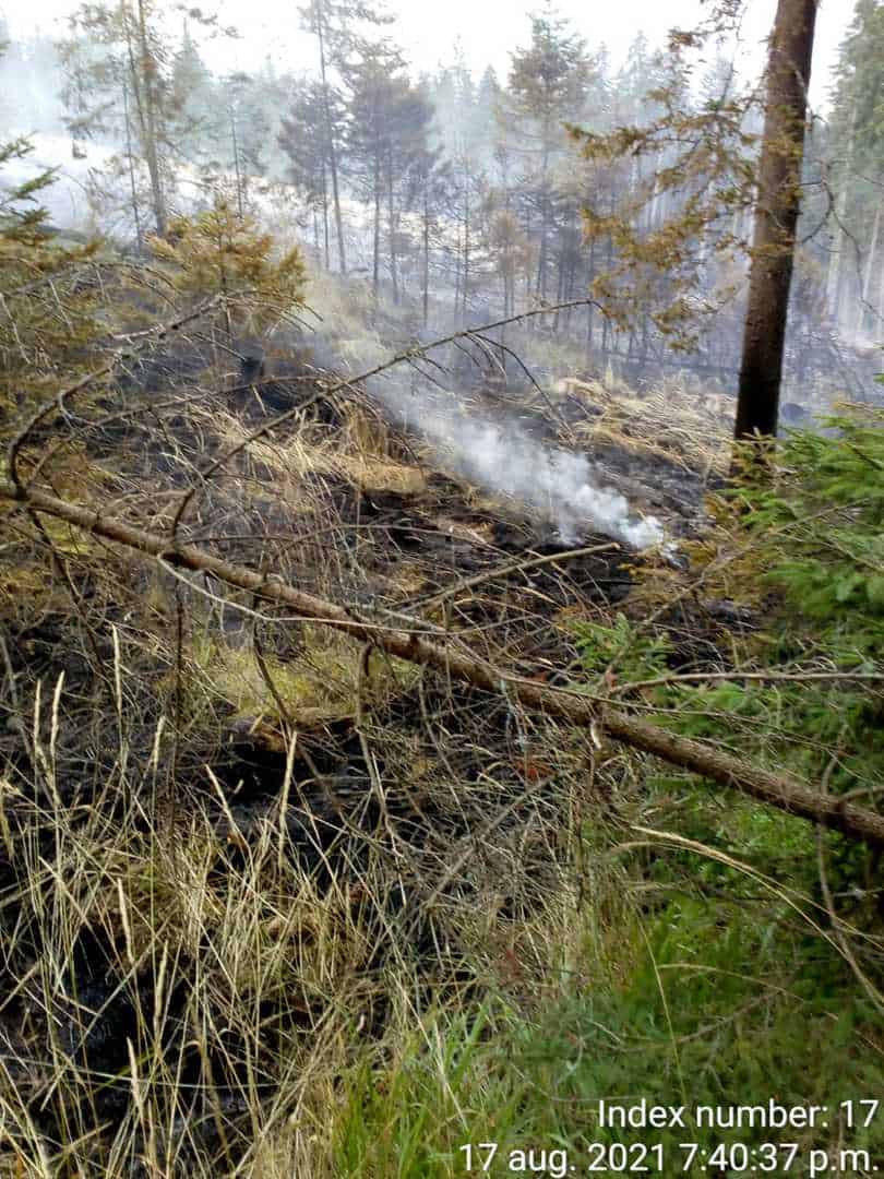 FOTO Autoutilitară în flăcări la Şelimbăr - 50 de intervenţii ISU Sibiu în ultimele 24 de ore