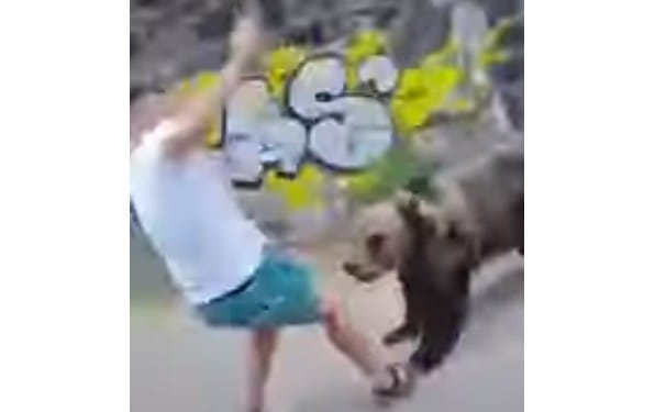 VIDEO Momentul când un turist e atacat de urs pe Transfăgărăşan - Încerca să îi facă poze