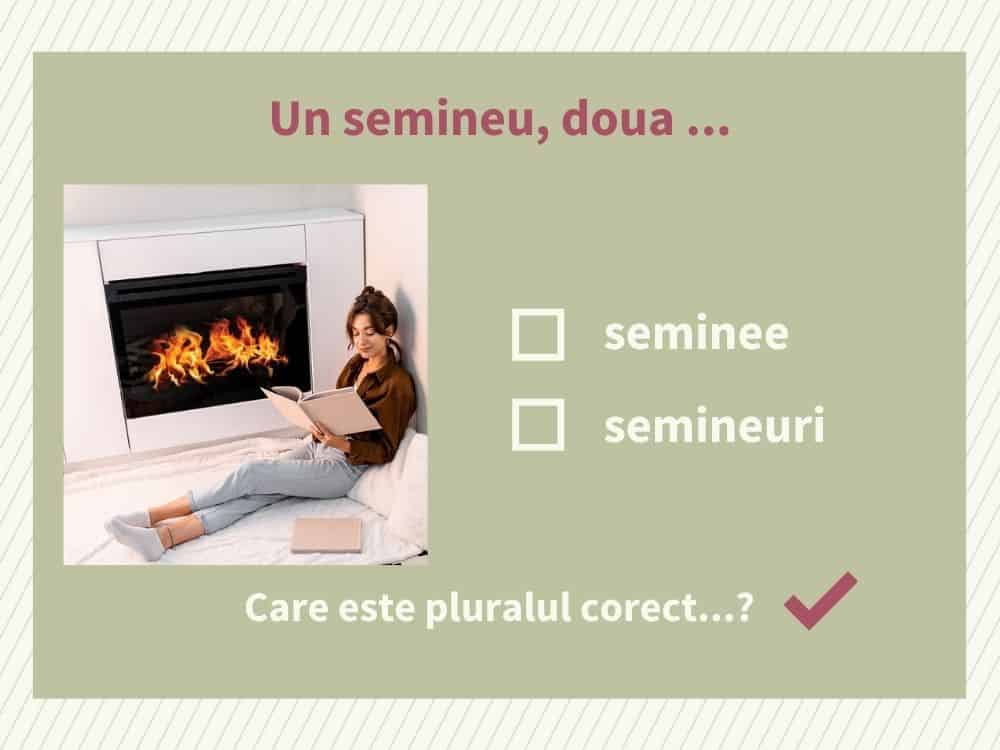 seminee sau semineuri? care plural e corect?