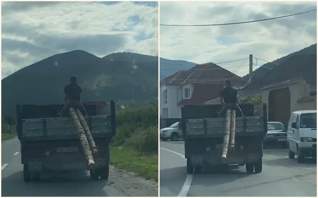 video: cum se transportă lemnele la sibiu? călare!