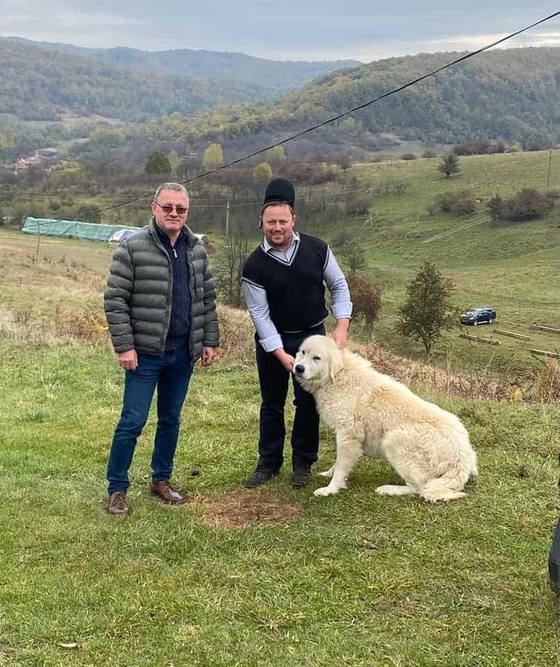 foto vizită neașteptată - ministrului agriculturii a mers la stâna cunoscutului ghiță ciobanul