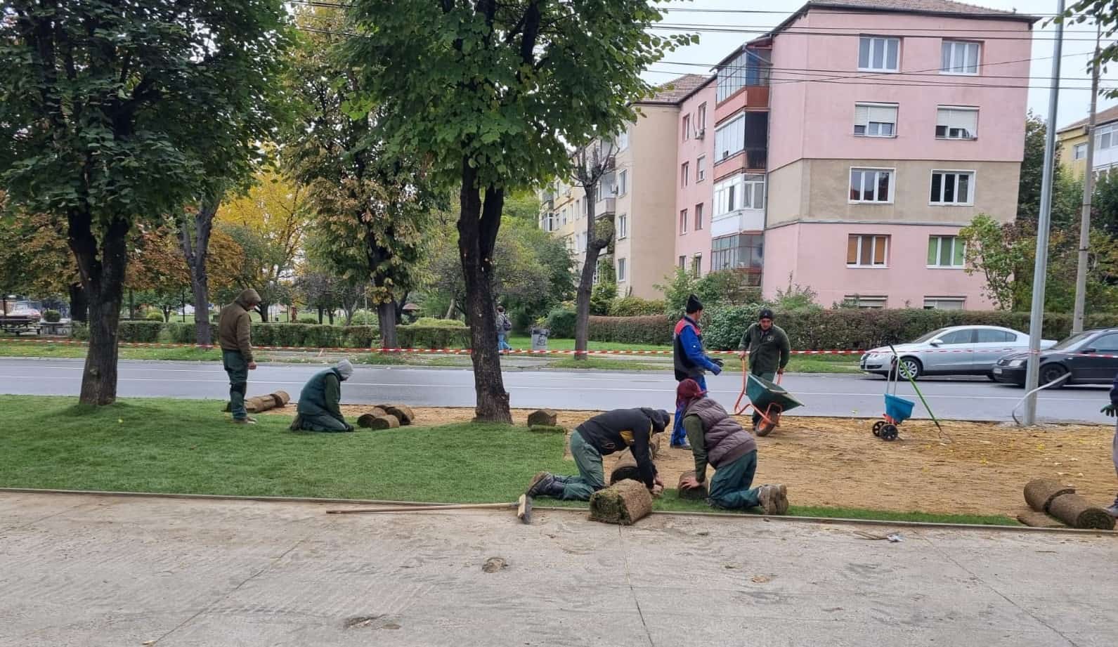 FOTO A început amenajarea spaţiilor verzi din cartierul Terezian