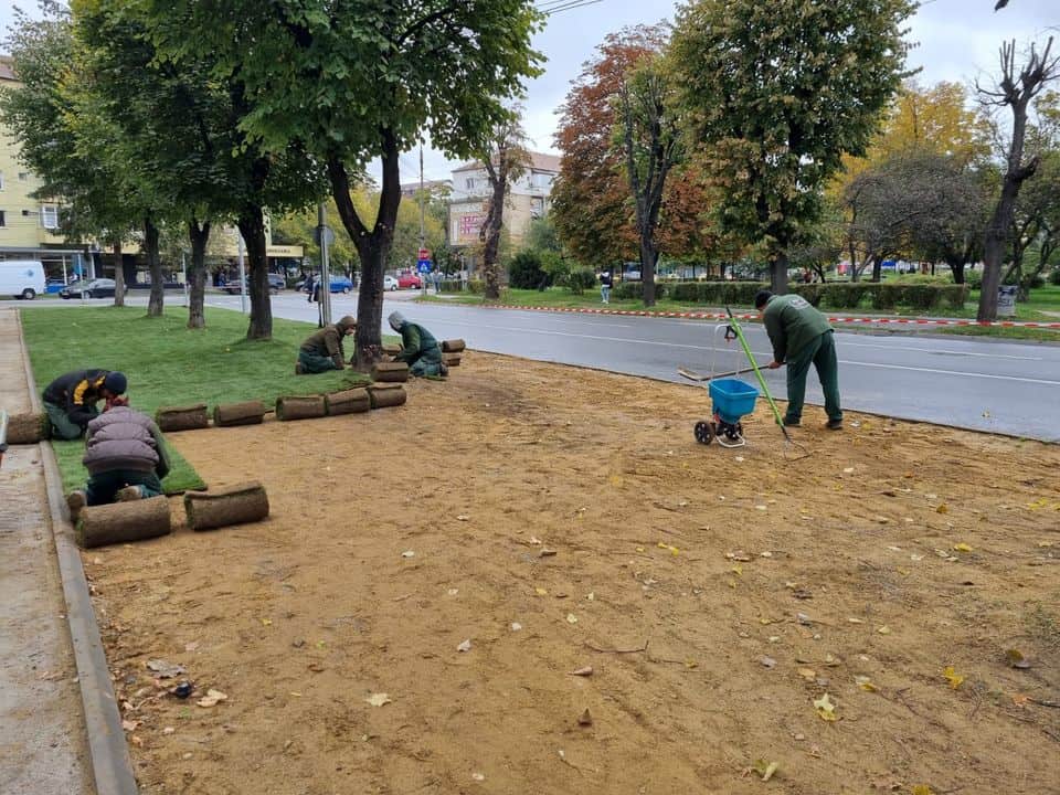 foto a început amenajarea spaţiilor verzi din cartierul terezian