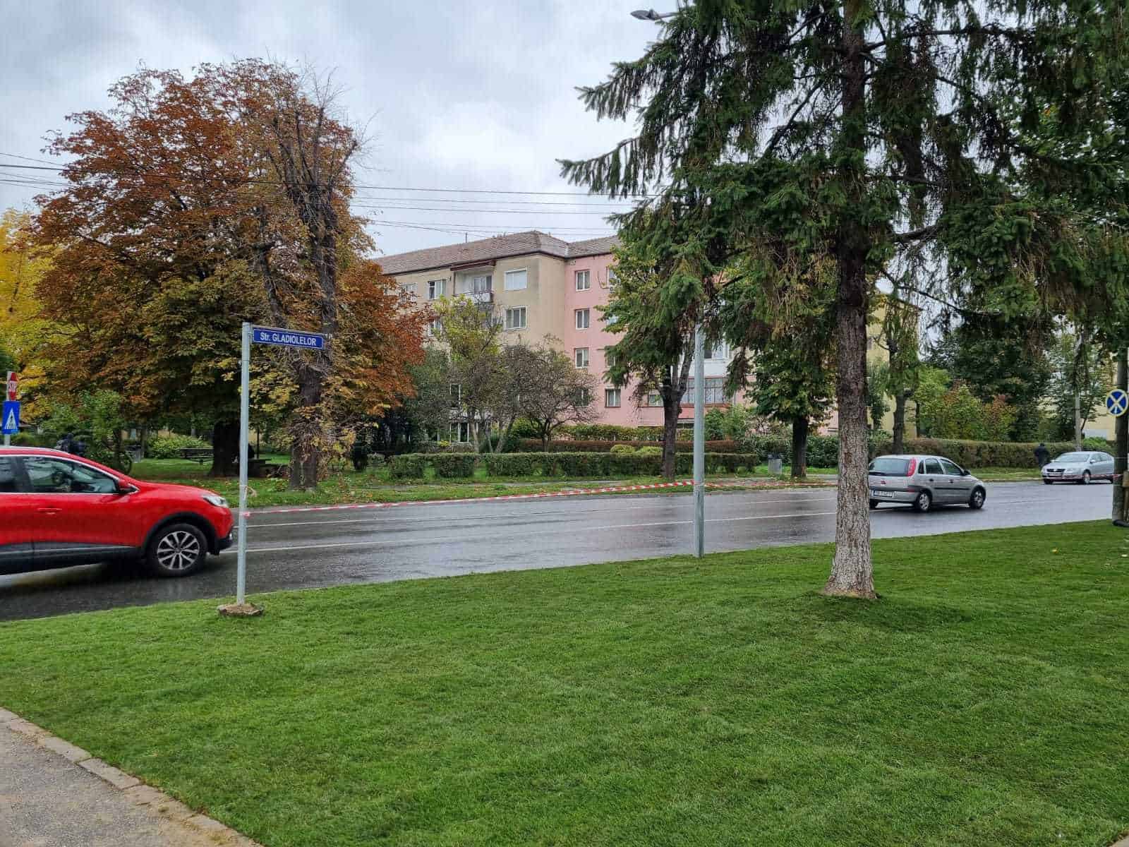 FOTO A început amenajarea spaţiilor verzi din cartierul Terezian