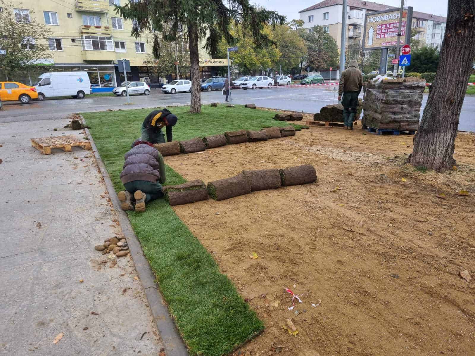 FOTO A început amenajarea spaţiilor verzi din cartierul Terezian