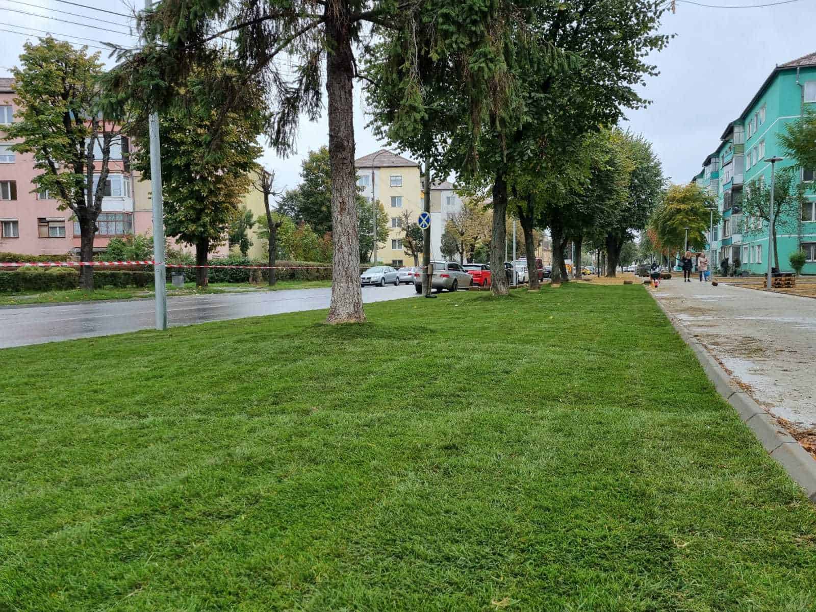 FOTO A început amenajarea spaţiilor verzi din cartierul Terezian