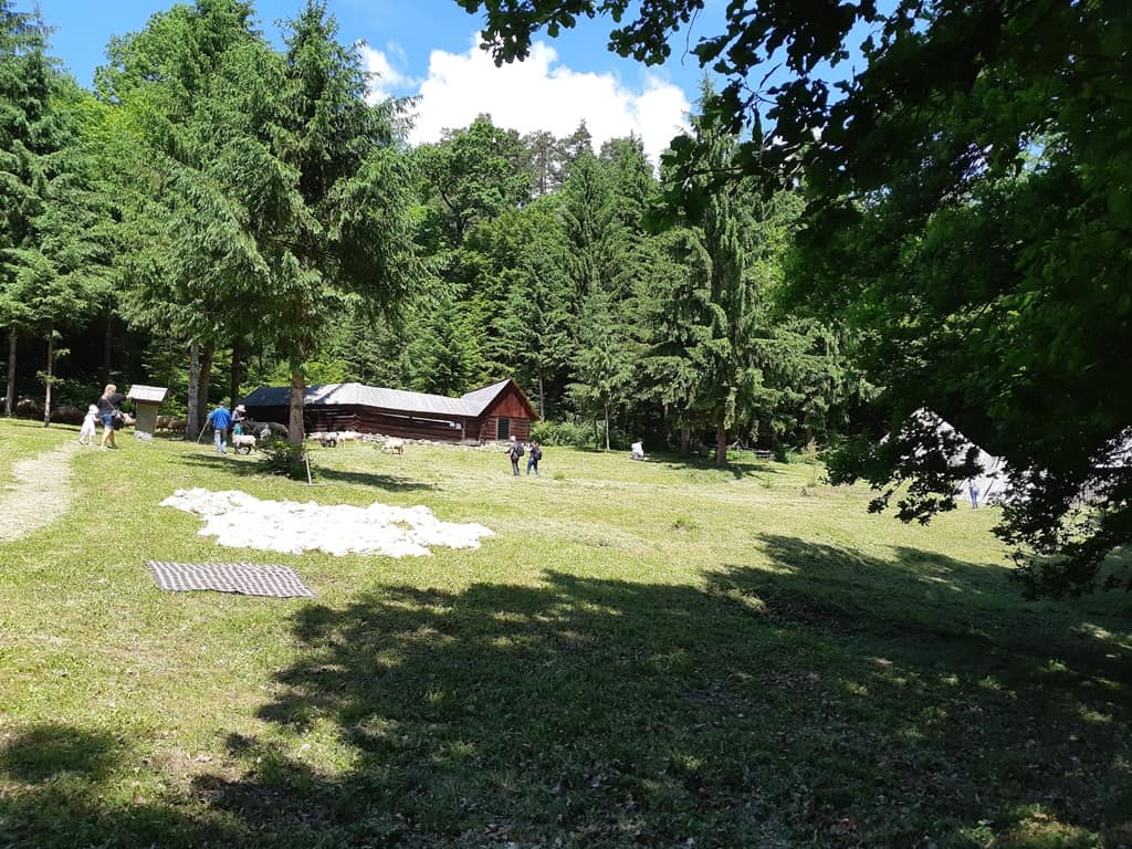 atelier gastronomic de preparare a untului prin batere în bădău