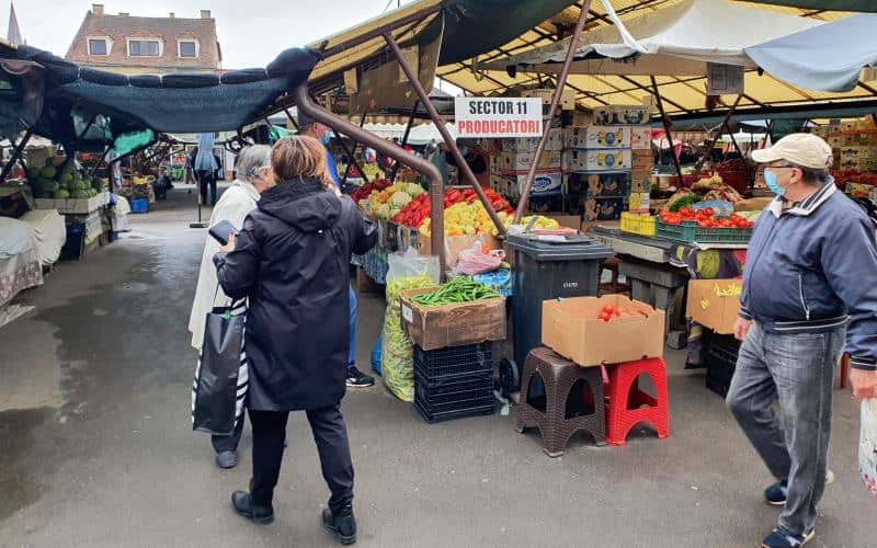reportaj - goana după gogonele și gogoșari pentru murături în piața cibin – cele mai ”cărnoase”, la mare căutare