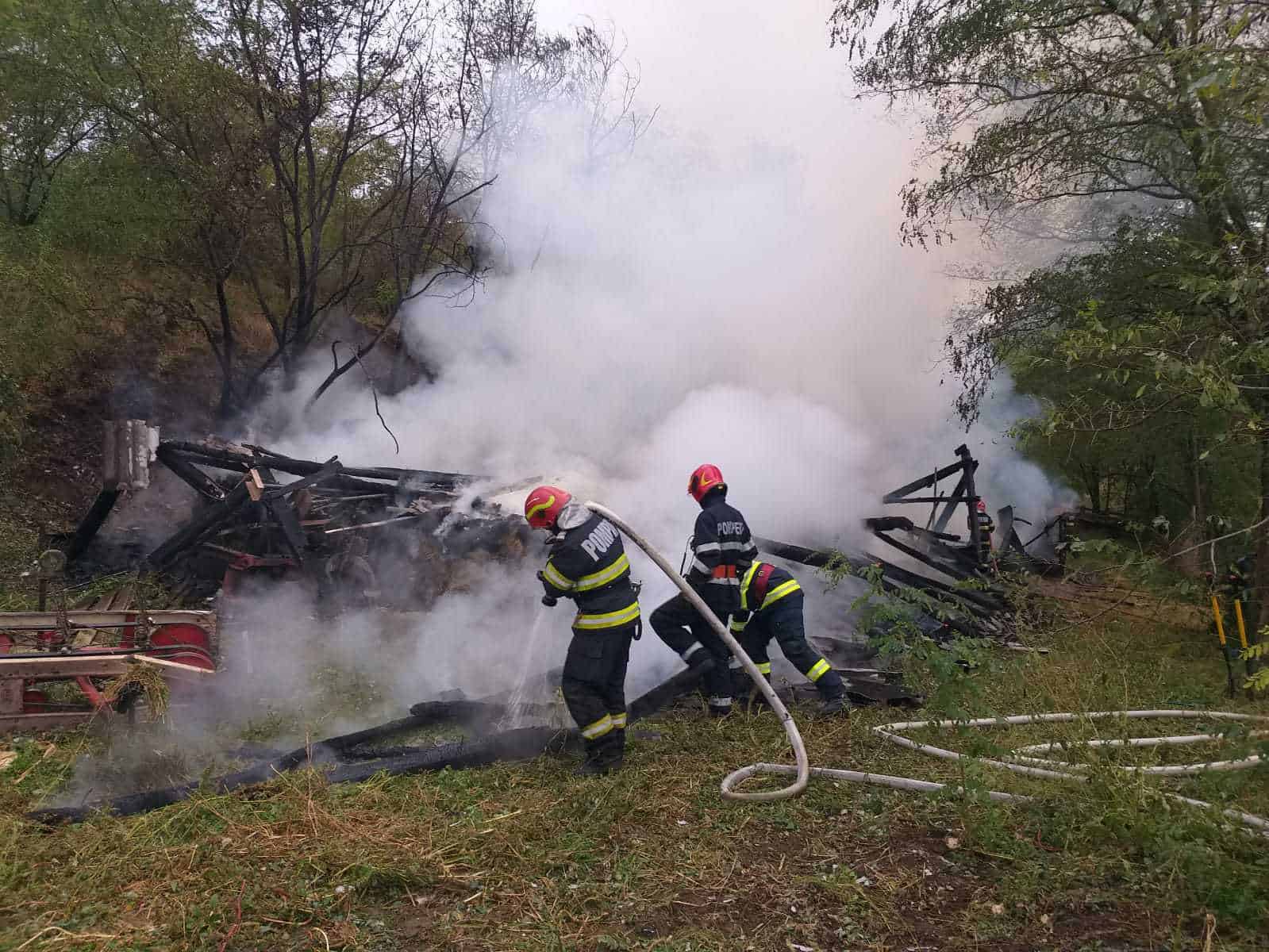 foto: saivan în flăcări la mohu - animalele au fost salvate