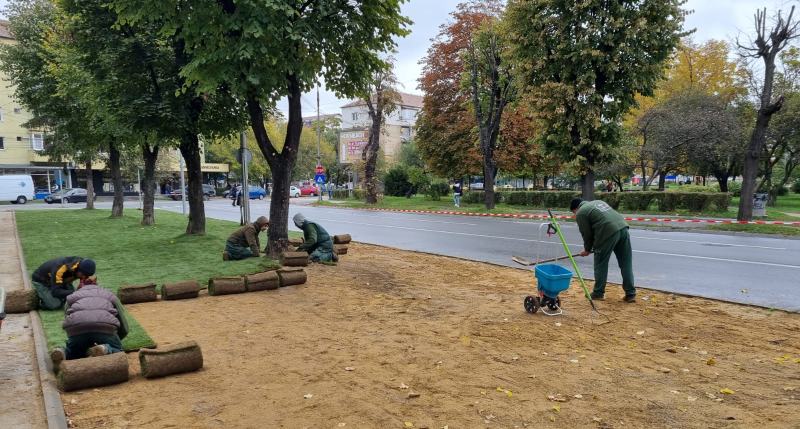 un consilier local cere primăriei sibiu să verifice zonele verzi după lucrările din cartiere - ”pe argilă nu crește iarbă”