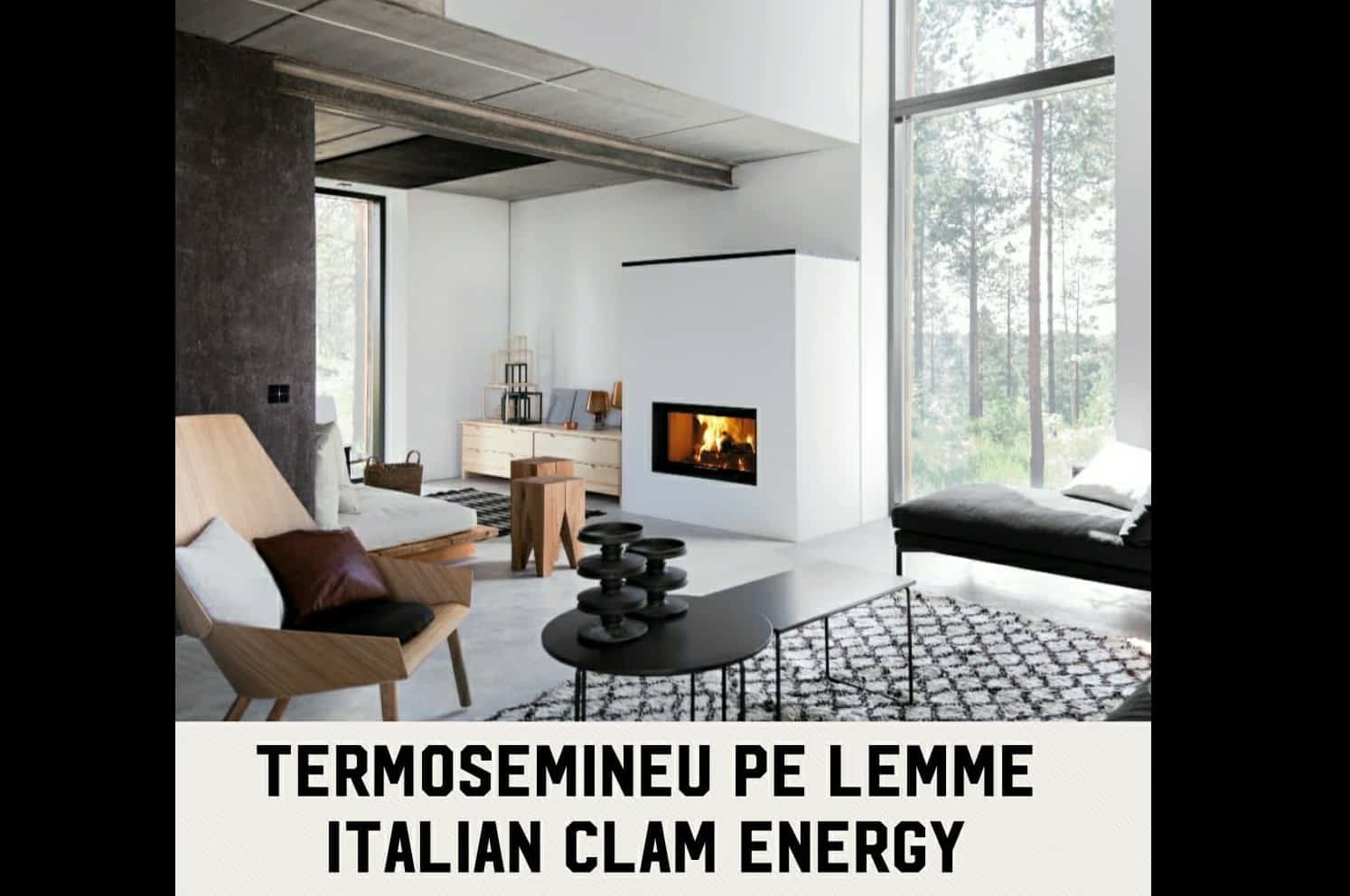 incalzeste intreaga casa cu un termosemineu pe lemne italian automatizat de 35 kw!