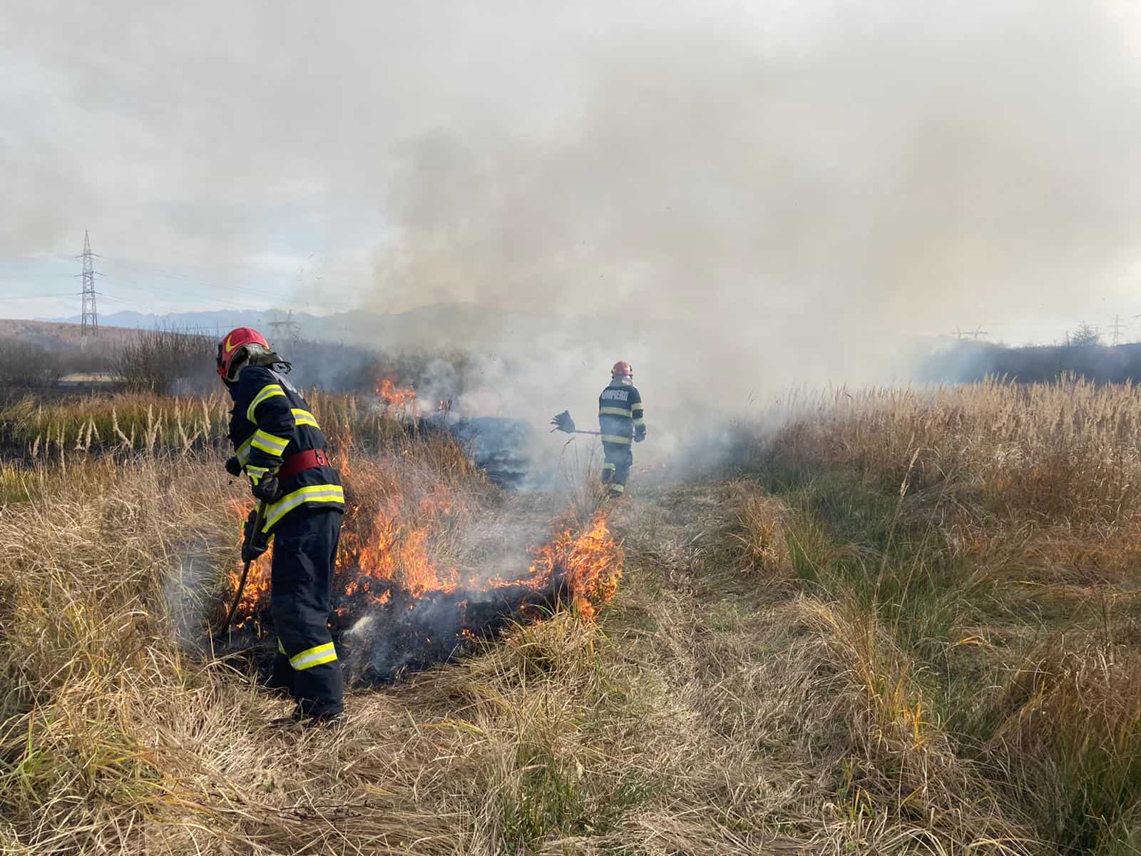 Incendiu de vegetație la Mohu