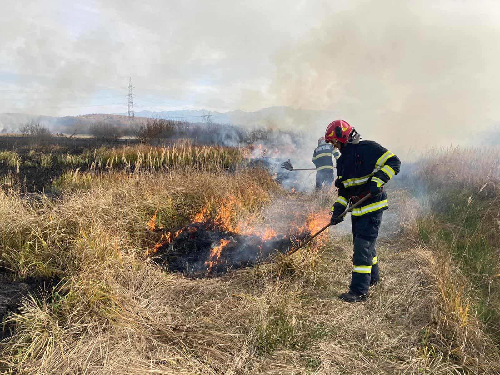 incendiu de vegetație la mohu