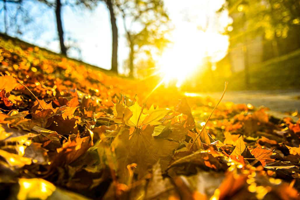 vreme tomnatică în septembrie. temperaturi de vară și ploi în prima parte a lunii