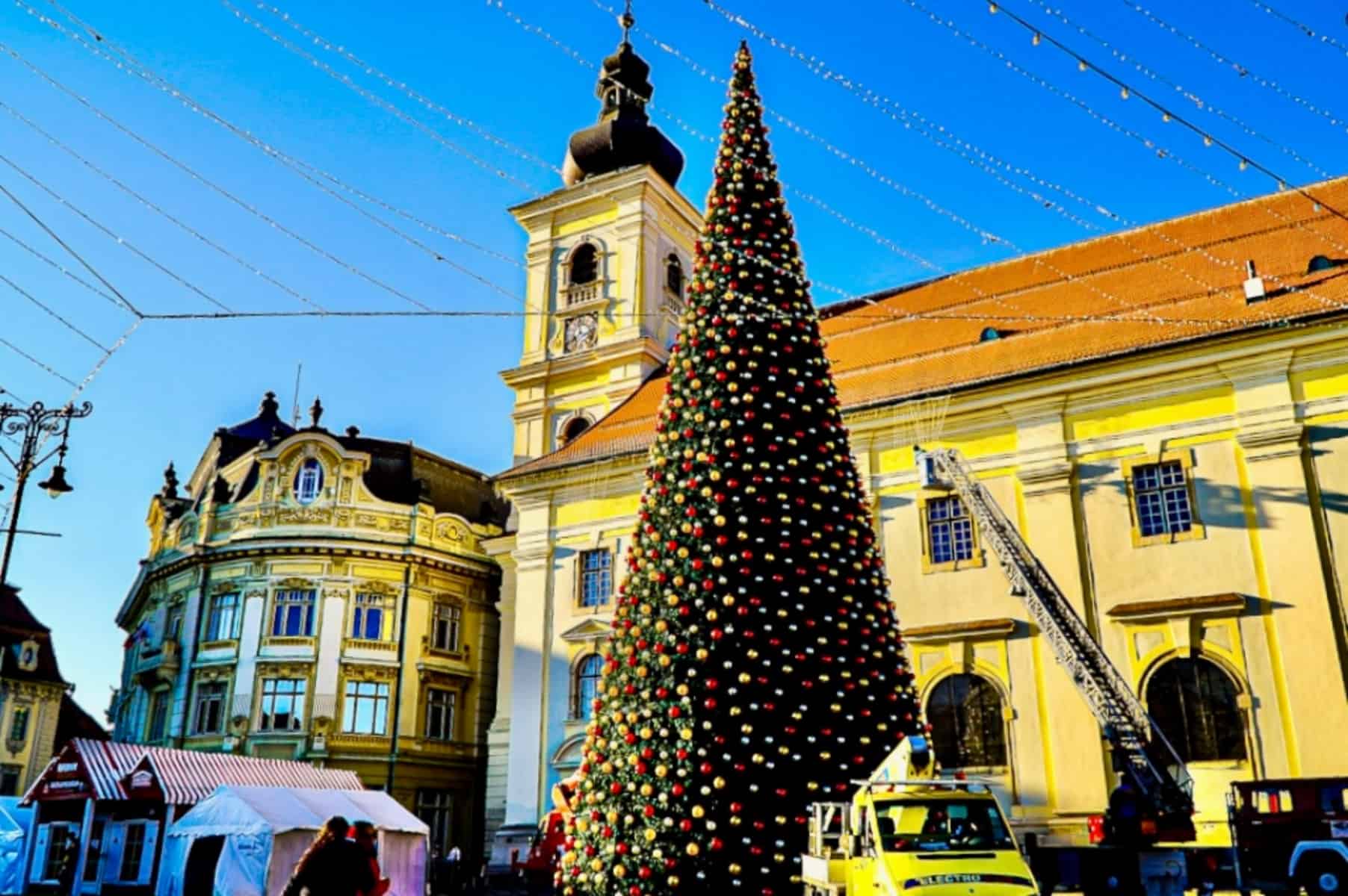 bradul controversat de la sibiu - „e strâmb”, „de ce nu e natural” sau „puneți măști în el să ne apere de covid”