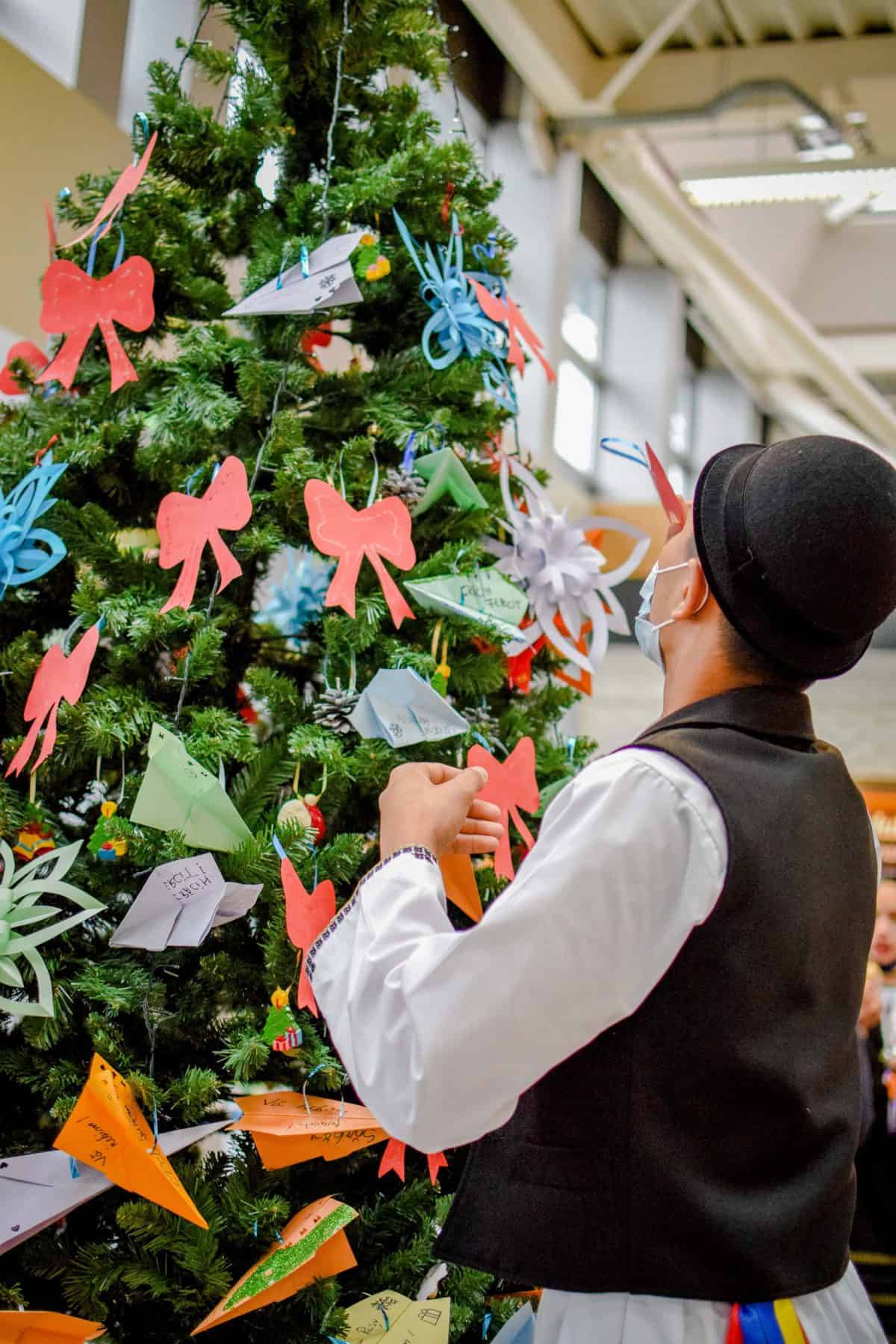 un brad altfel la aeroportul internațional sibiu