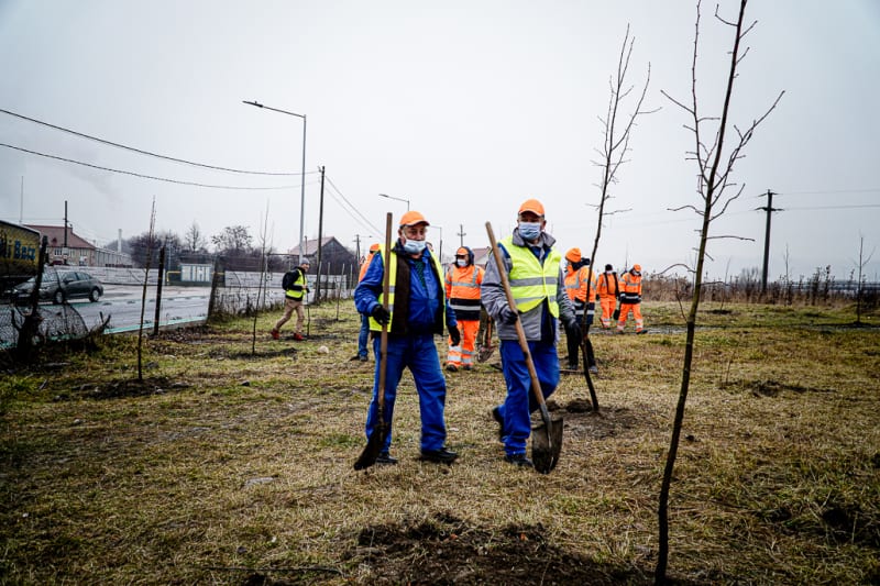 VIDEO Acțiune pentru aer curat la Sibiu - Voluntarii de la fabrica Wienerberger au plantat 150 de copaci