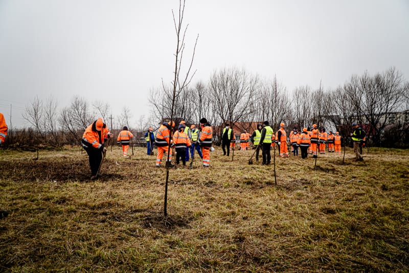 VIDEO Acțiune pentru aer curat la Sibiu - Voluntarii de la fabrica Wienerberger au plantat 150 de copaci