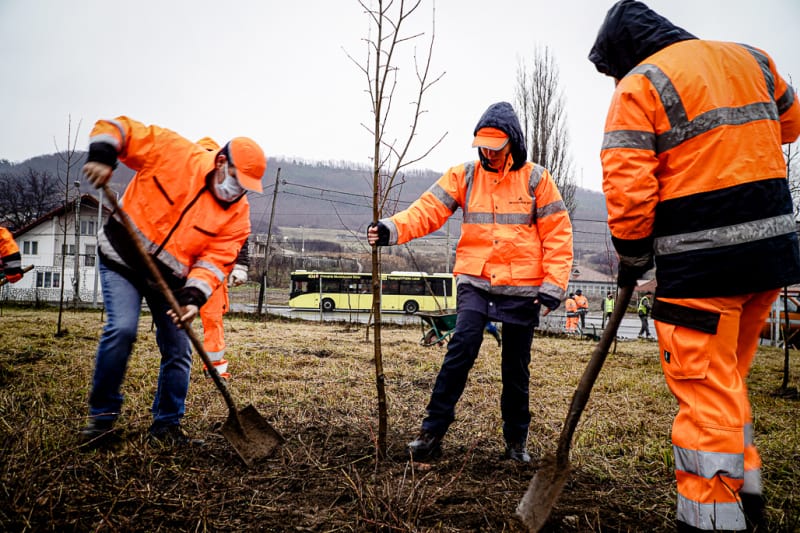 VIDEO Acțiune pentru aer curat la Sibiu - Voluntarii de la fabrica Wienerberger au plantat 150 de copaci