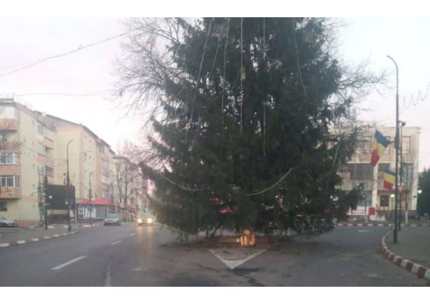 VIDEO Un brad imens a fost montat în mijlocul unei șosele din România