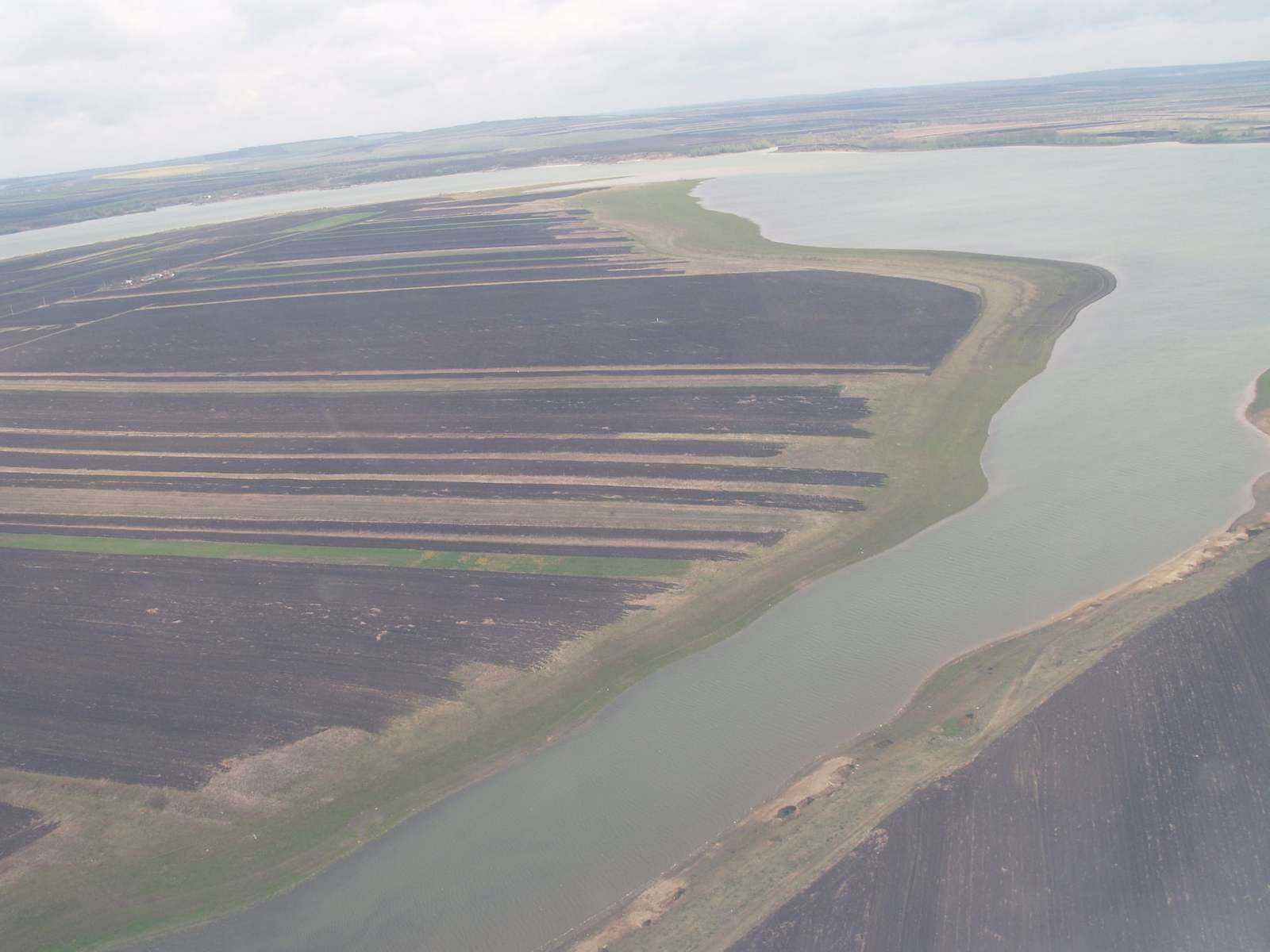 FOTO O specie rară de gâște a fost descoperită pe un lac din România. Doar câteva exemplare mai sunt în țară