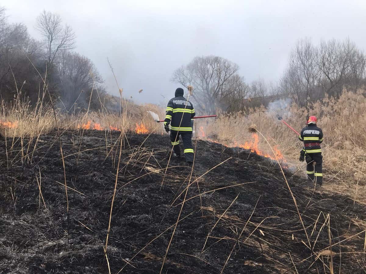 Unsprezece incendii de vegetație stinse de pompierii sibieni în ultimele șapte zile - ISU Sibiu amenință cu amenzi