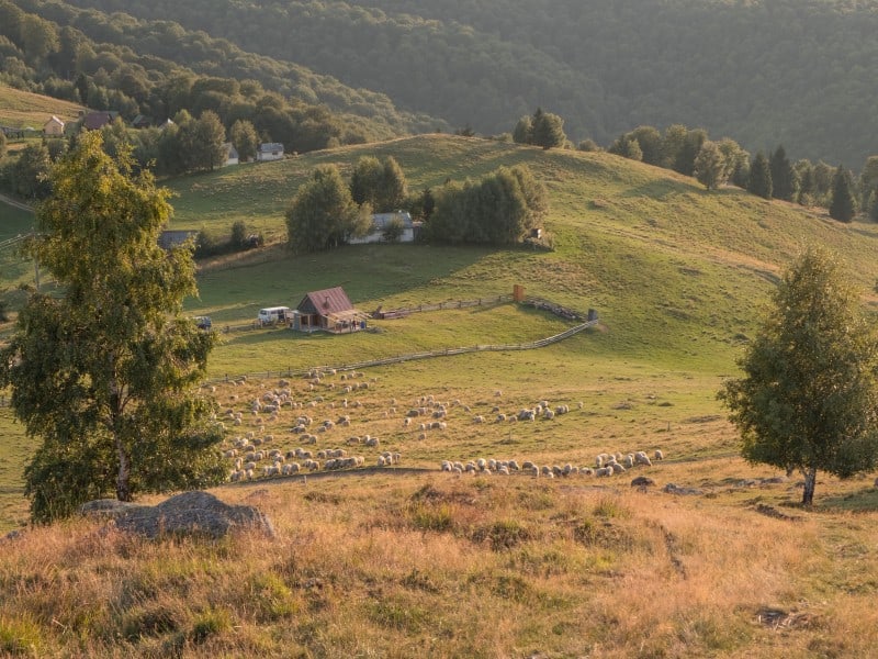 mărginimea sibiului tot mai atractivă pentru turiști - toți caută autenticitatea locală