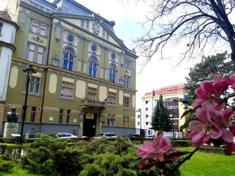 începe o nouă ediție a școlii de vara de la biblioteca astra