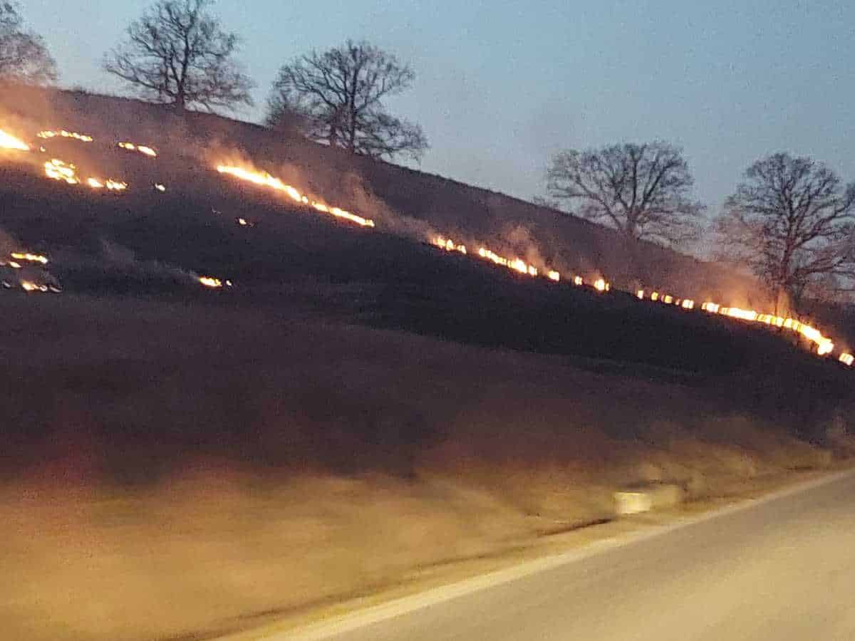 update video: incendii de vegetație pe dealul gușteriței, pe calea șurii mici și în alte 13 localități