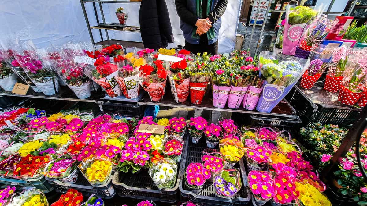 VIDEO Goana după cadoul de 8 martie la Sibiu - Florile, cele mai “vânate” de sibieni