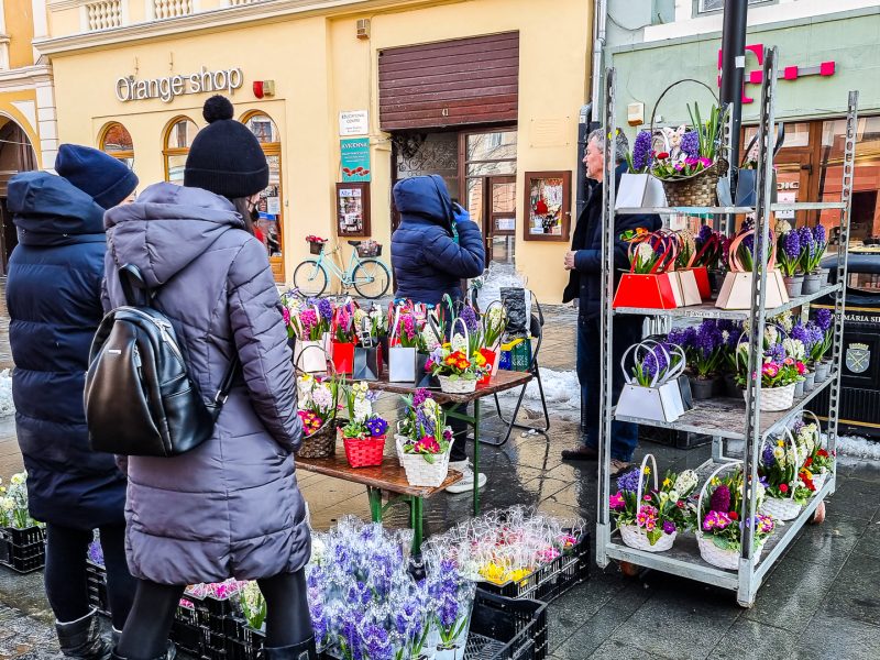 VIDEO Goana după cadoul de 8 martie la Sibiu - Florile, cele mai “vânate” de sibieni