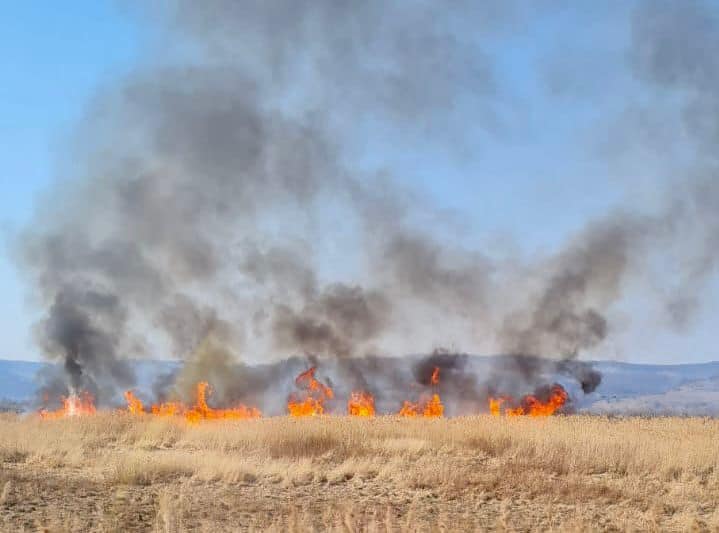 update video: incendii de vegetație pe dealul gușteriței, pe calea șurii mici și în alte 13 localități