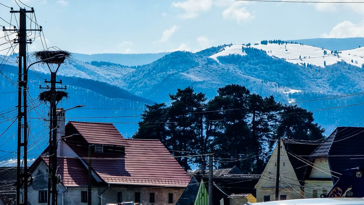 foto: prima barză s-a întors la cristian - „primăvara e tot mai aproape”