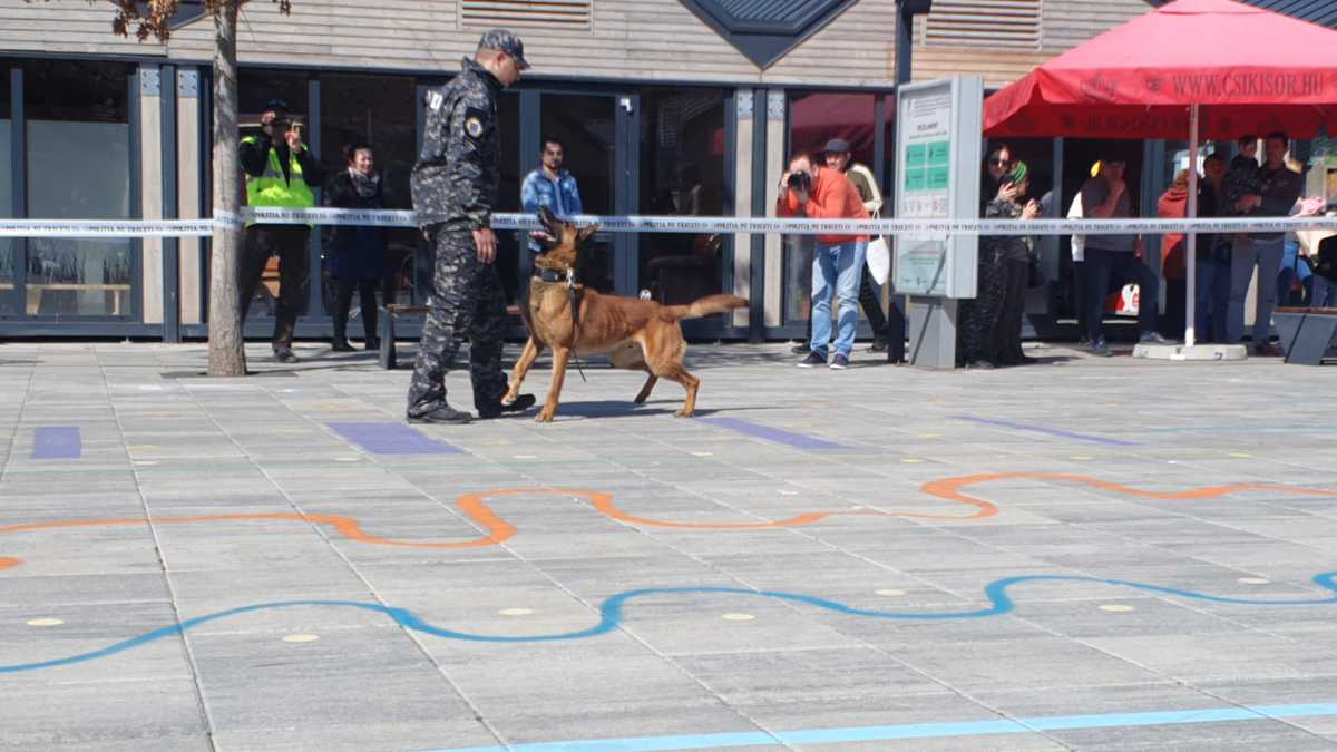 video foto ziua poliției la sibiu - mascații și câinele tasha, atracția zilei