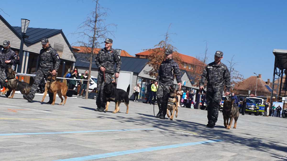 video foto ziua poliției la sibiu - mascații și câinele tasha, atracția zilei