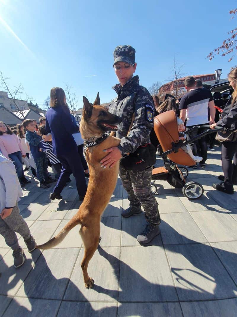 video foto ziua poliției la sibiu - mascații și câinele tasha, atracția zilei