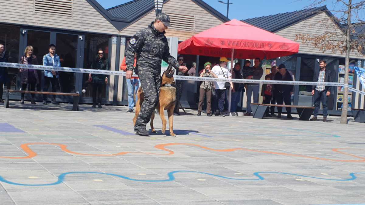 video foto ziua poliției la sibiu - mascații și câinele tasha, atracția zilei