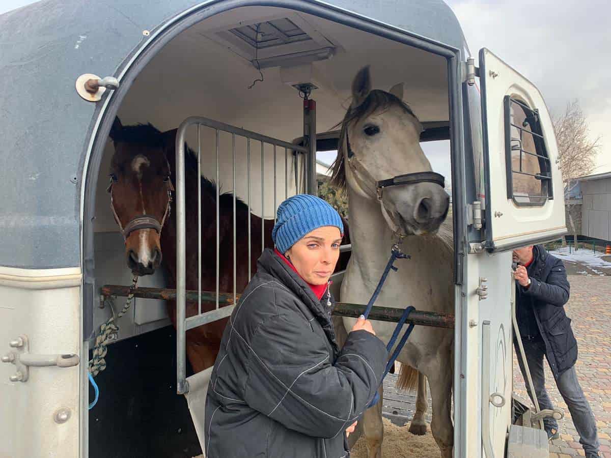 FOTO: Asociația care a salvat caii din Odessa și i-a adus la Sibiu - „Numărul animalelor care au nevoie de relocare este mare”