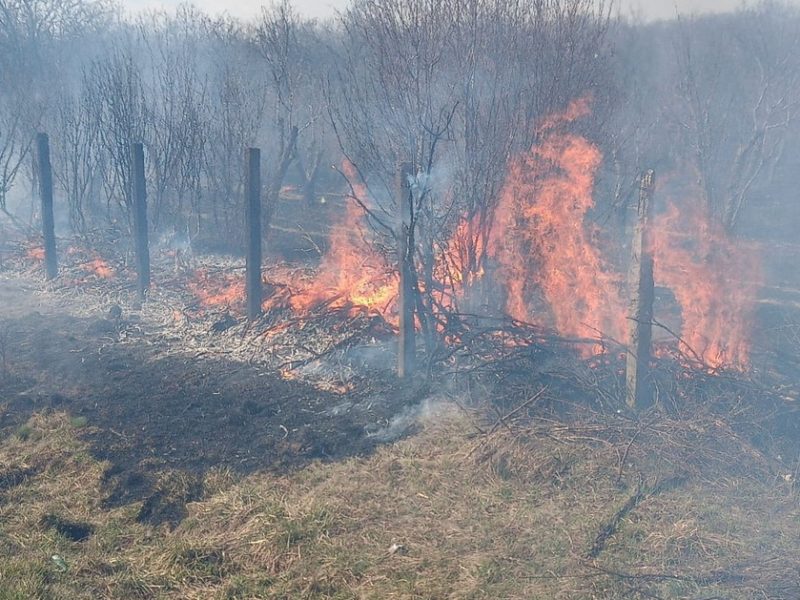 bărbat găsit carbonizat în urma unui incendiu de vegetație în bihor - avertisment de la isu sibiu