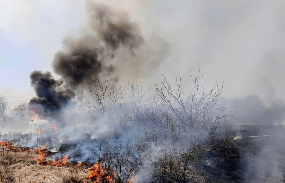 patru incendii de vegetație în ultimele ore - ștrandul din mediaș, în pericol să ardă