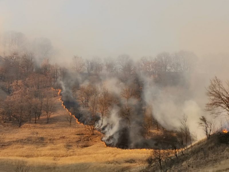 Douăzeci de incendii de vegetație într-o zi - Un saivan din Mediaș și o cabană din Agârbiciu, mistuite de flăcări