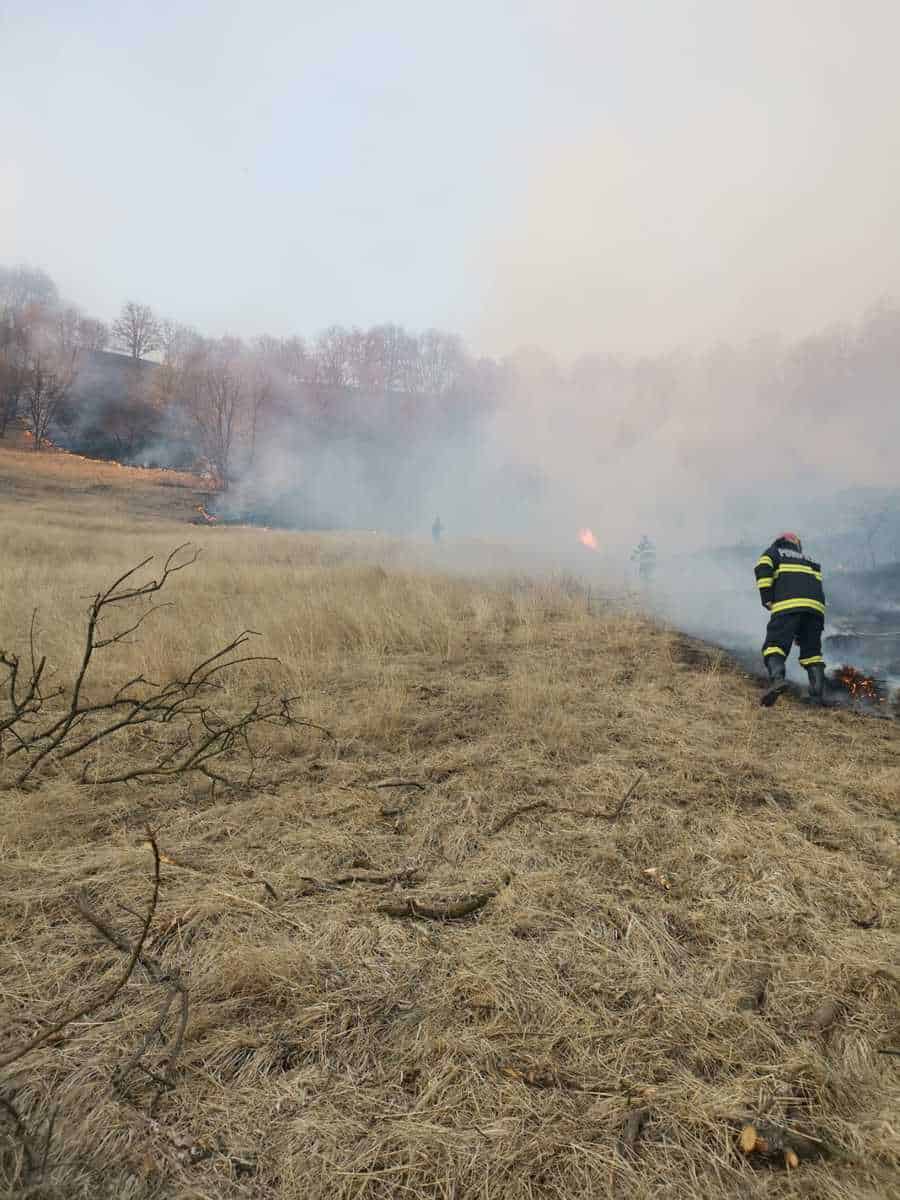 douăzeci de incendii de vegetație într-o zi - un saivan din mediaș și o cabană din agârbiciu, mistuite de flăcări