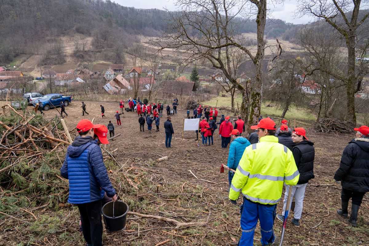 PSD Sibiu - ”Copacii înseamnă viață!”