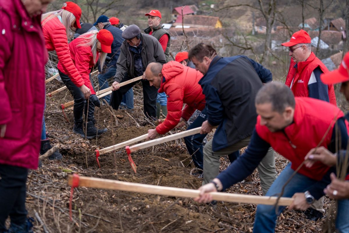 PSD Sibiu - ”Copacii înseamnă viață!”