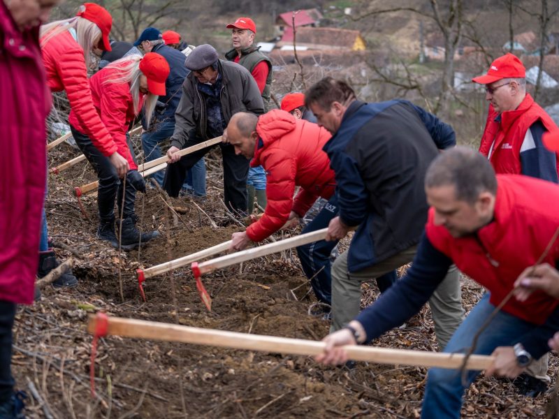 psd sibiu - ”copacii înseamnă viață!”