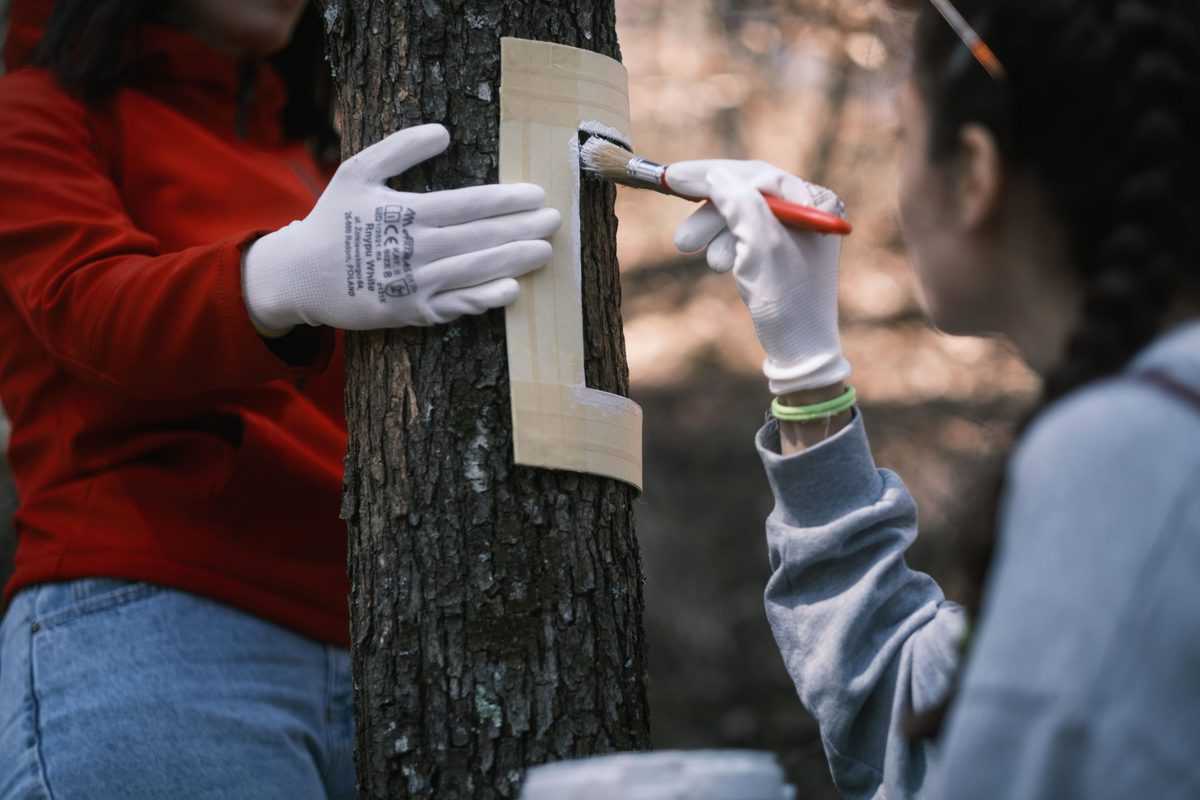 studenţii de la ulbs se implică în "anii drumeției" - au marcat un traseu turistic din cisnădie